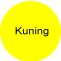 Warna Kuning
